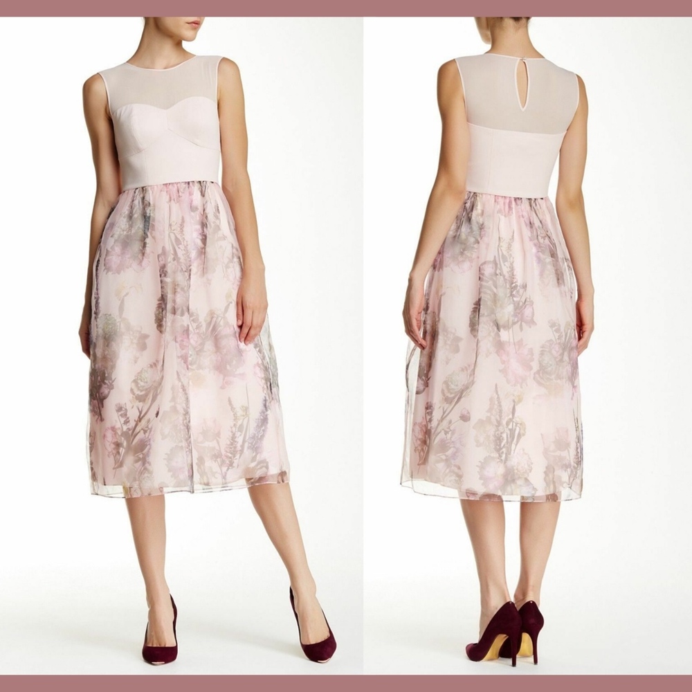 $675 Ted Baker 'Faunia' Torchlit Floral Ballet Dress Pink‎ [SZ 1 in TB]